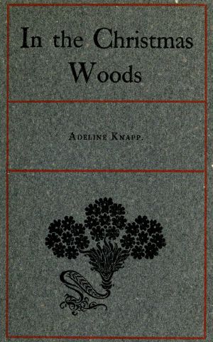 [Gutenberg 64149] • In the Christmas Woods / Being the introductory essay of a series on observations of nature through the year